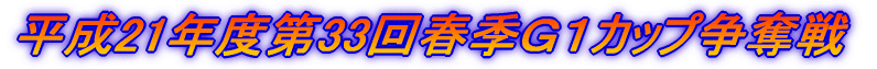 平成21年度第33回G1カップ争奪戦